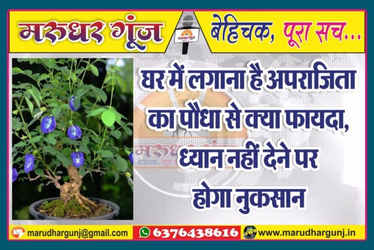 MG NEWS
