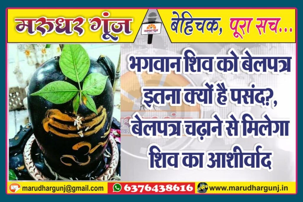 MG NEWS